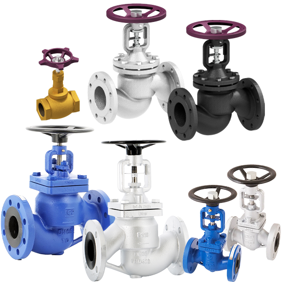 Globe Valves (Isolation valve)